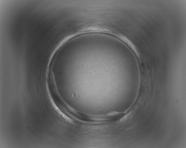 X0000070231381200606021336