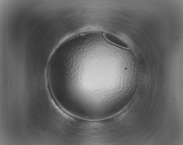 X0000070231382200606021336