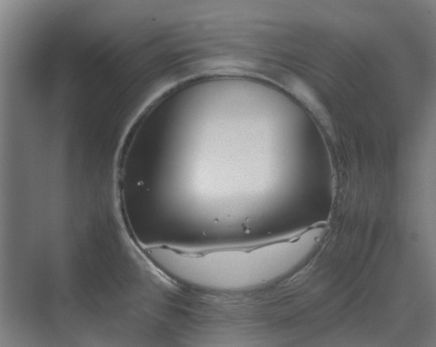 X0000070231384200606021336