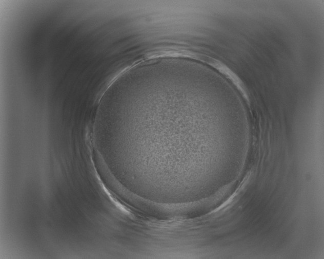 X0000070231385200606021336