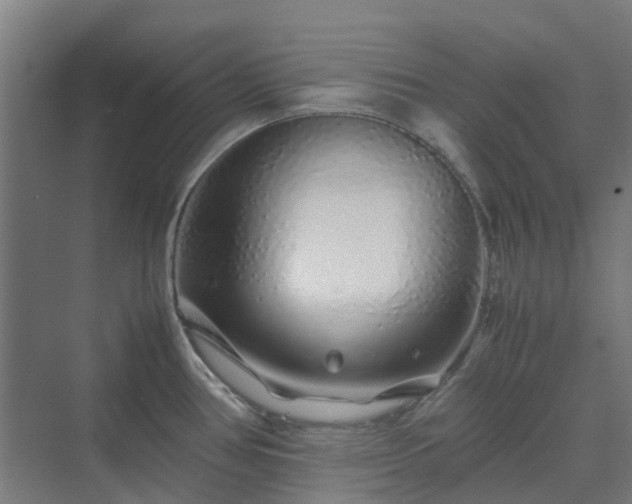 X0000070231386200606021336