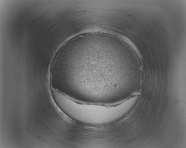 X0000070231388200606021336