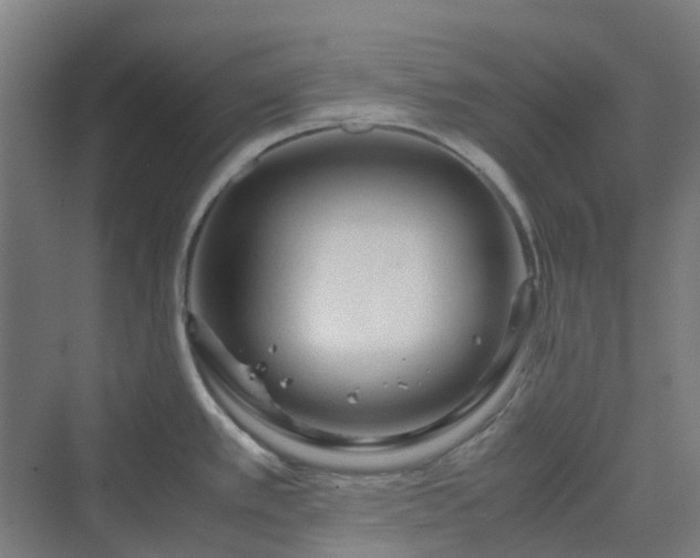 X0000070231389200606021336