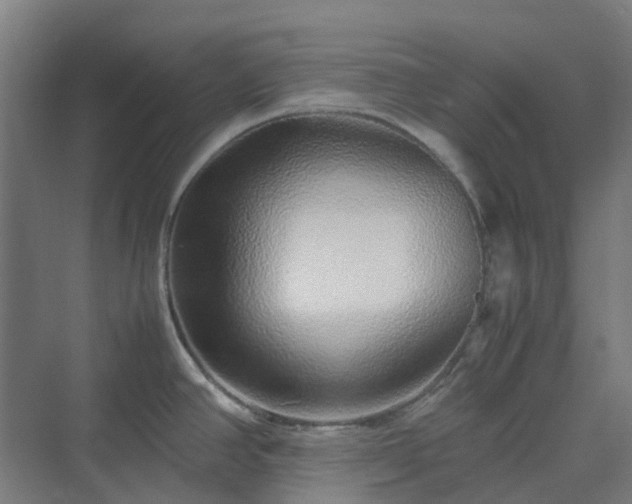 X0000070231390200606021336