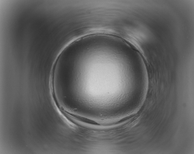 X0000070231391200606021336