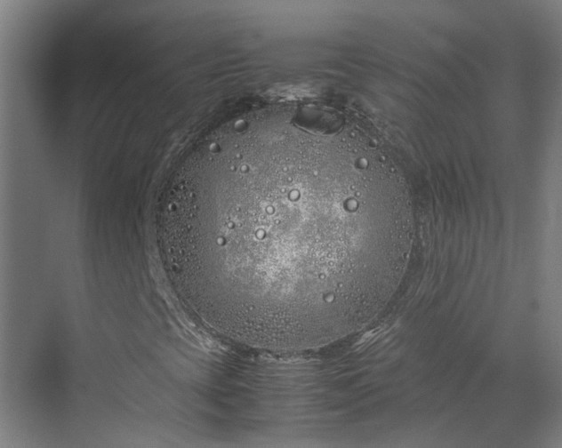 X0000070231393200606021335