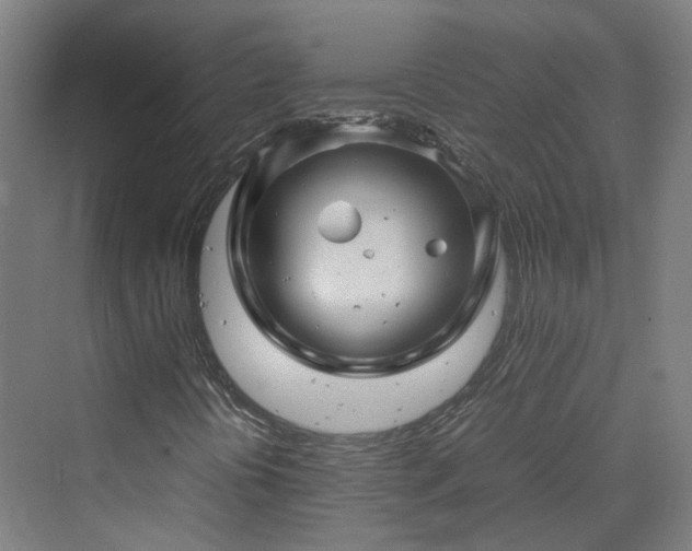 X0000070231394200606021335