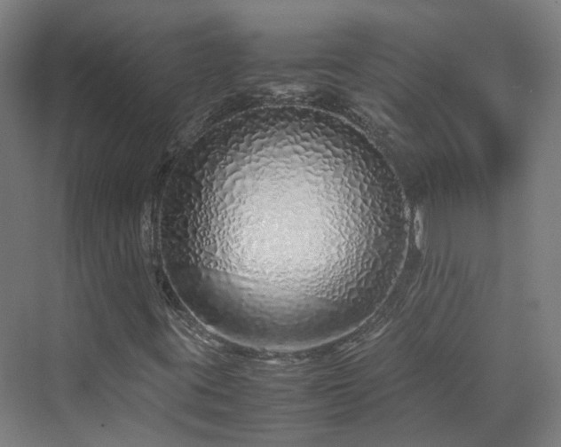 X0000070231395200606021335