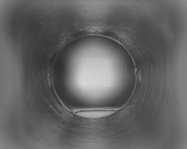 X0000070231396200606021335