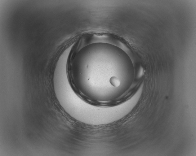 X0000070231398200606021335