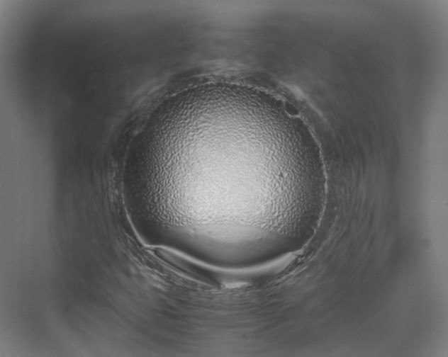 X0000070231399200606021335