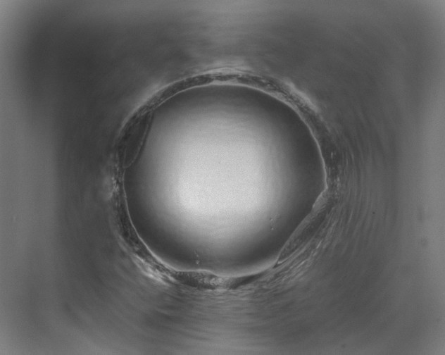 X0000070231400200606021335