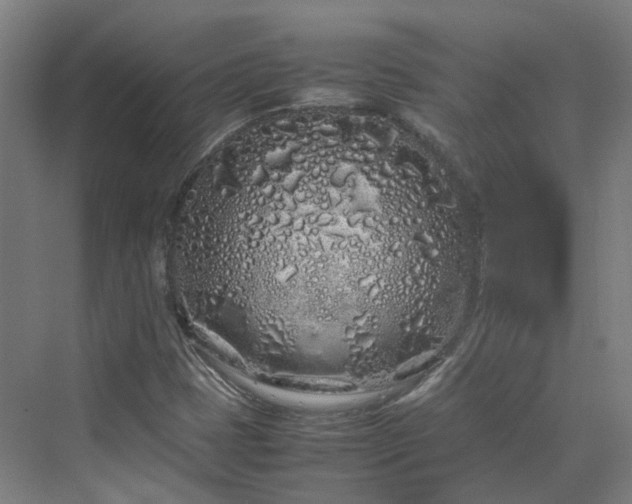 X0000070231401200606021335