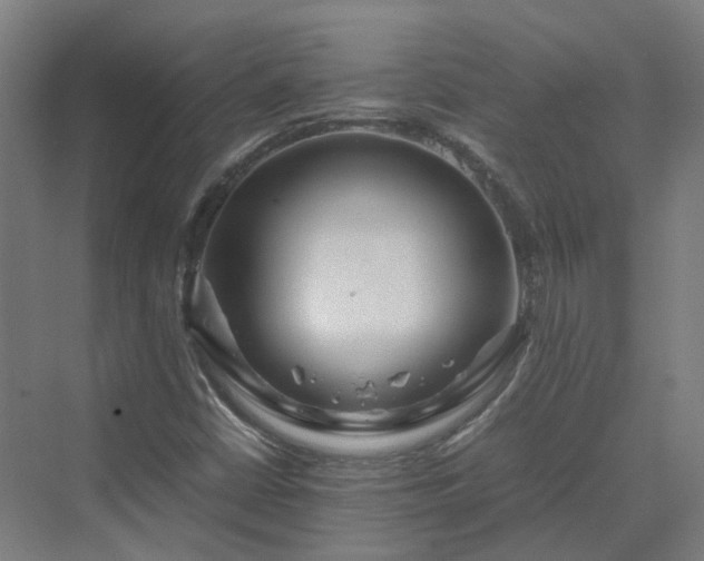 X0000070231402200606021335