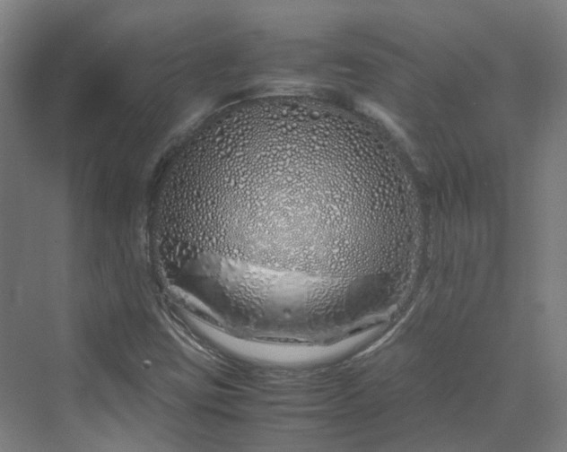 X0000070231403200606021335