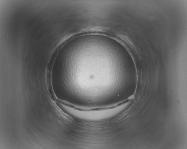 X0000070231404200606021335