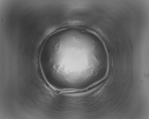 X0000070231405200606021335