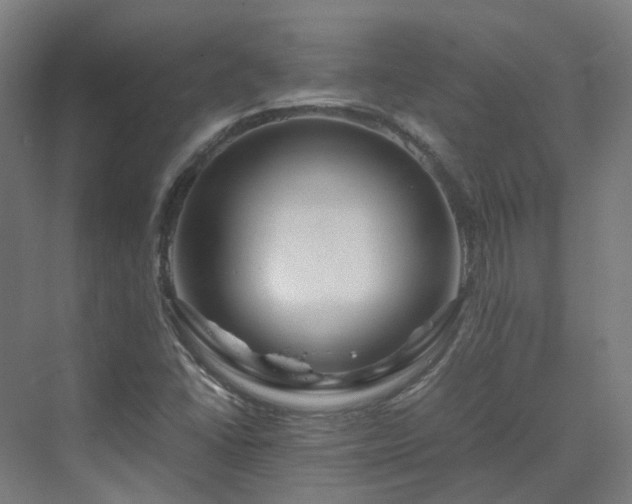 X0000070231406200606021335