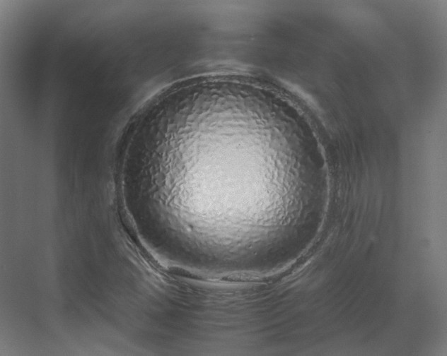 X0000070231407200606021335