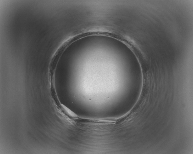 X0000070231408200606021335