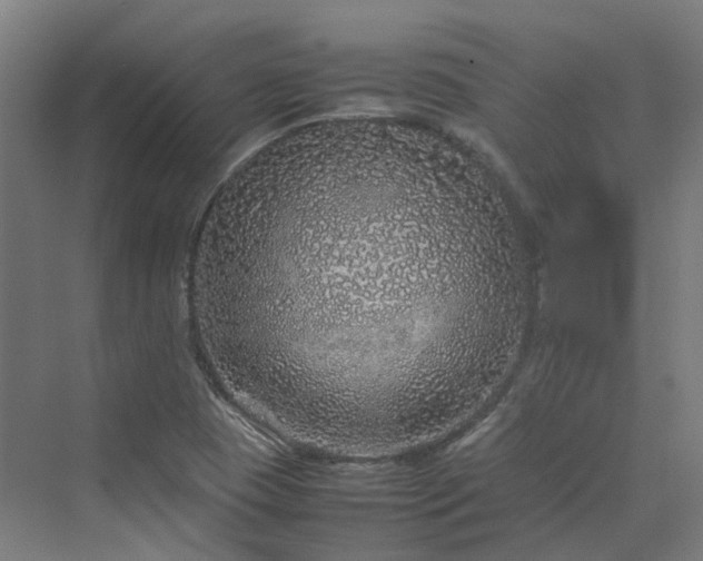 X0000070231409200606021335