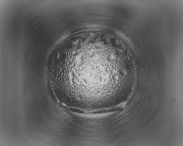 X0000070231411200606021335