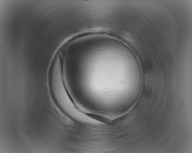 X0000070231412200606021335