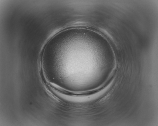 X0000070231413200606021335