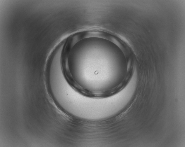 X0000070231414200606021335