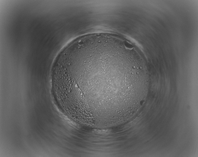 X0000070231415200606021335