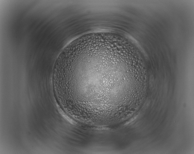 X0000070231417200606021335