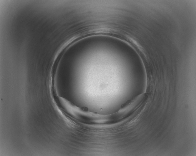 X0000070231418200606021335