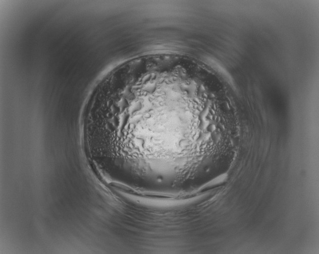 X0000070231419200606021335