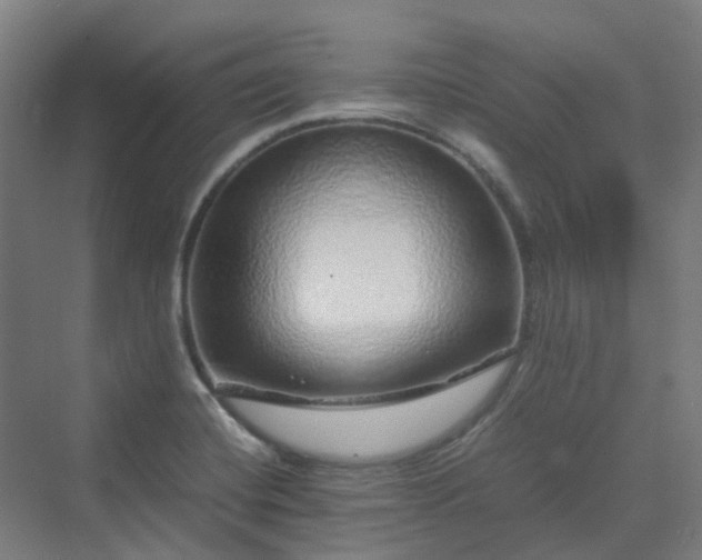 X0000070231420200606021335