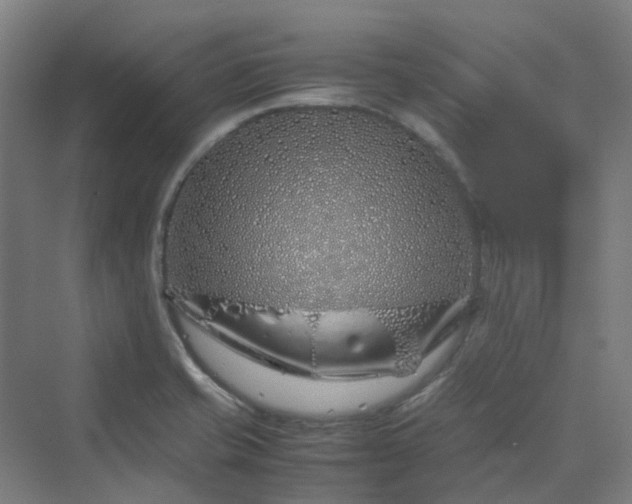 X0000070231421200606021335