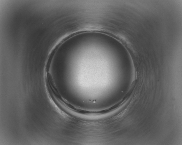 X0000070231422200606021335