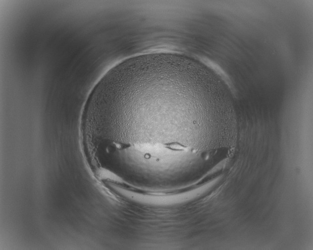 X0000070231423200606021335