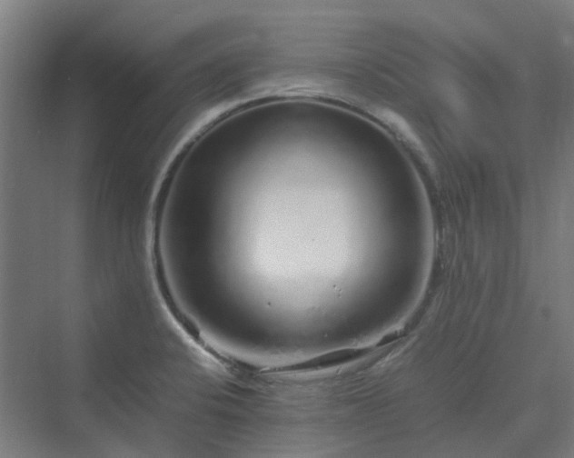 X0000070231424200606021335