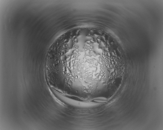 X0000070231425200606021335