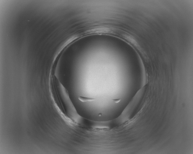 X0000070231426200606021335