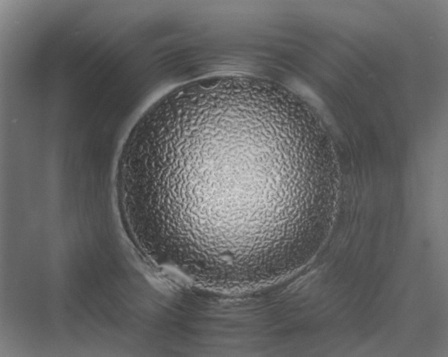 X0000070231427200606021335