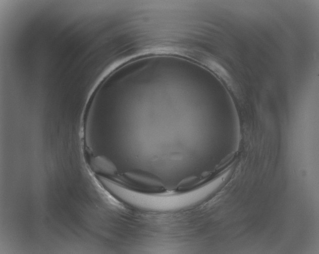 X0000070231428200606021335