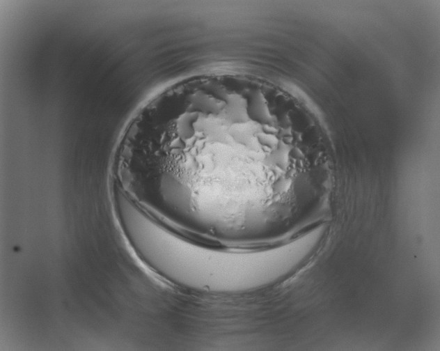 X0000070231429200606021335