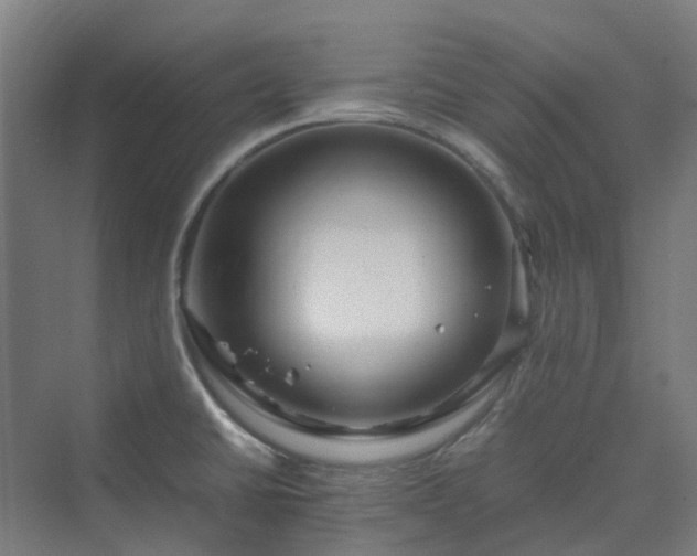 X0000070231430200606021336