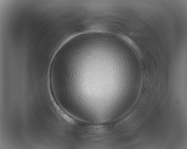 X0000070231431200606021336