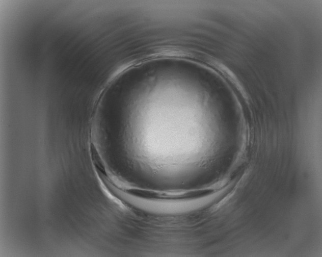 X0000070231433200606021336