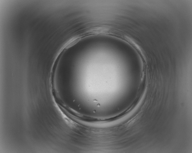 X0000070231434200606021336