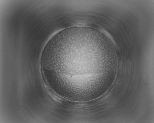 X0000070231435200606021336