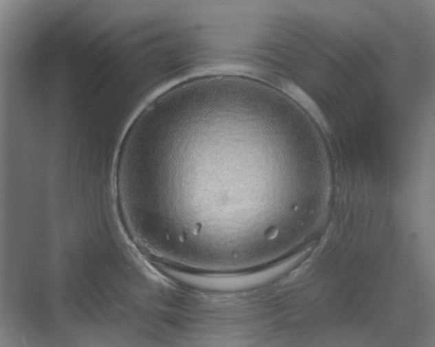 X0000070231436200606021336