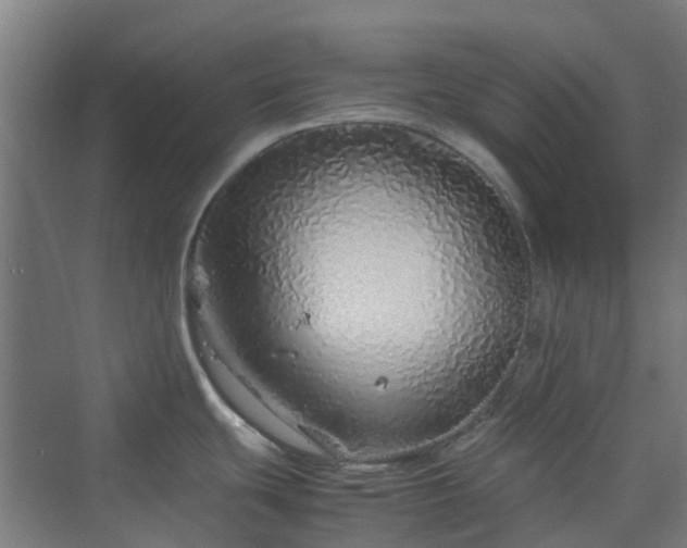 X0000070231439200606021336